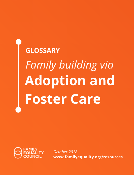 Glossary: Family Building Via Adoption And Foster Care