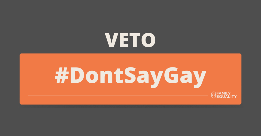 Text that reads, "Veto #Don'tSayGay"